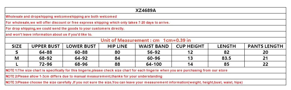 2025 new mesh sexy see through red shapewear nightgown with tassel chest patch underwear set, two-piece set