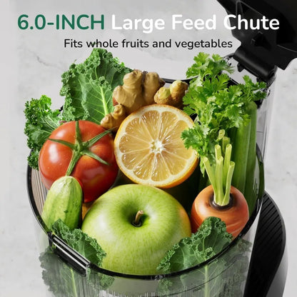 C16 Cold Press Juicer, 6" Extra Wide Feed Chute, 3-IN-1 Strainers (Juice & Sorbet & Nut Milk), Powerful AC Brushless