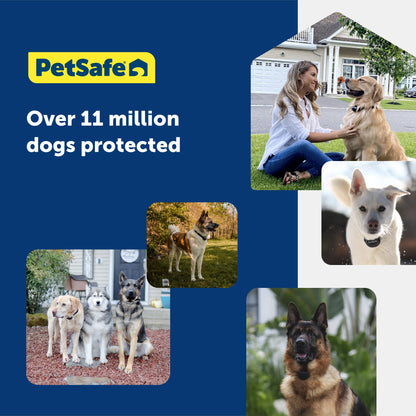 PetSafe Wireless Pet Containment System - Original Wireless Electric Fence for Dogs - from The Parent Company of Invisible Fence Brand - Covers Up to 1/2 Acre - for Pets 8lb+