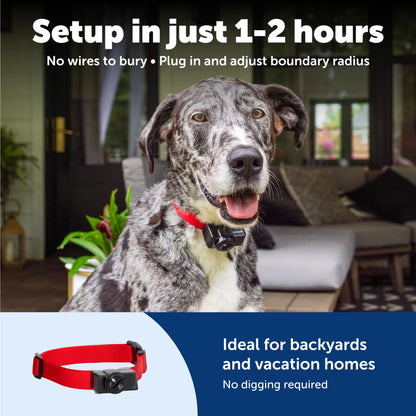 PetSafe Wireless Pet Containment System - Original Wireless Electric Fence for Dogs - from The Parent Company of Invisible Fence Brand - Covers Up to 1/2 Acre - for Pets 8lb+