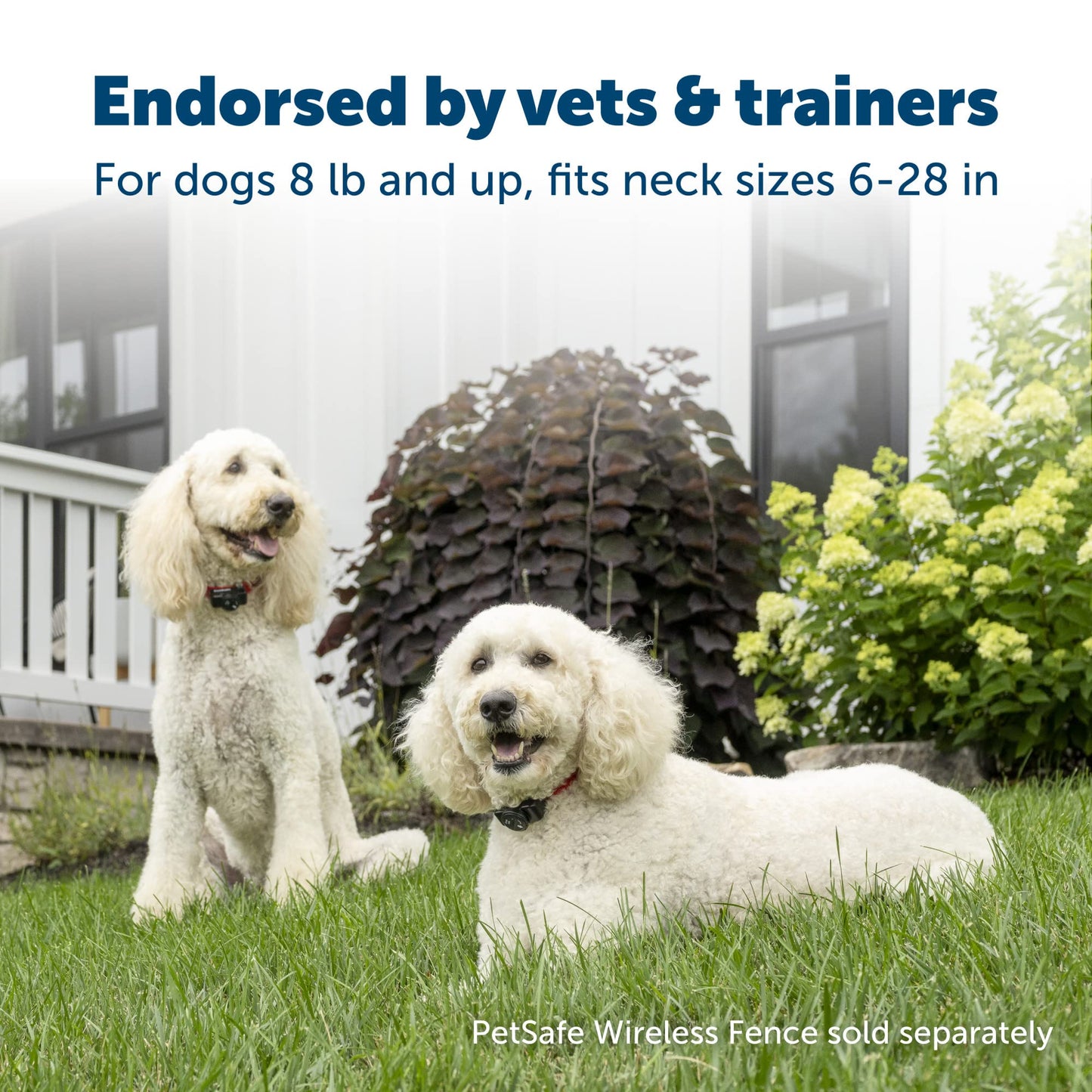 PetSafe Wireless Pet Containment System - Original Wireless Electric Fence for Dogs - from The Parent Company of Invisible Fence Brand - Covers Up to 1/2 Acre - for Pets 8lb+