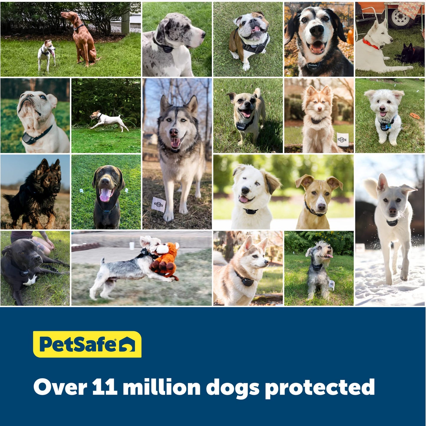PetSafe Wireless Pet Containment System - Original Wireless Electric Fence for Dogs - from The Parent Company of Invisible Fence Brand - Covers Up to 1/2 Acre - for Pets 8lb+