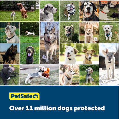 PetSafe Wireless Pet Containment System - Original Wireless Electric Fence for Dogs - from The Parent Company of Invisible Fence Brand - Covers Up to 1/2 Acre - for Pets 8lb+