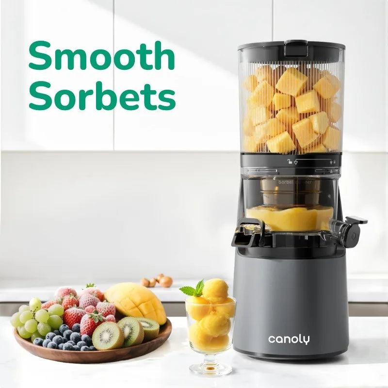 C16 Cold Press Juicer, 6" Extra Wide Feed Chute, 3-IN-1 Strainers (Juice & Sorbet & Nut Milk), Powerful AC Brushless