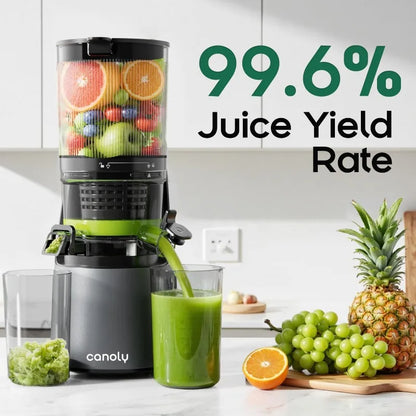 C16 Cold Press Juicer, 6" Extra Wide Feed Chute, 3-IN-1 Strainers (Juice & Sorbet & Nut Milk), Powerful AC Brushless